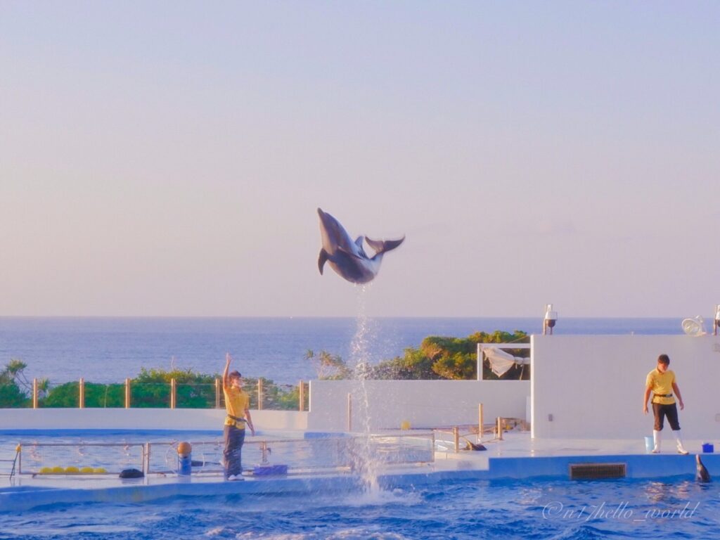 美ら海水族館