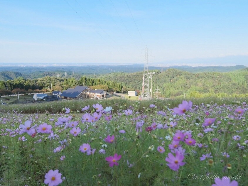 夢の平コスモス荘