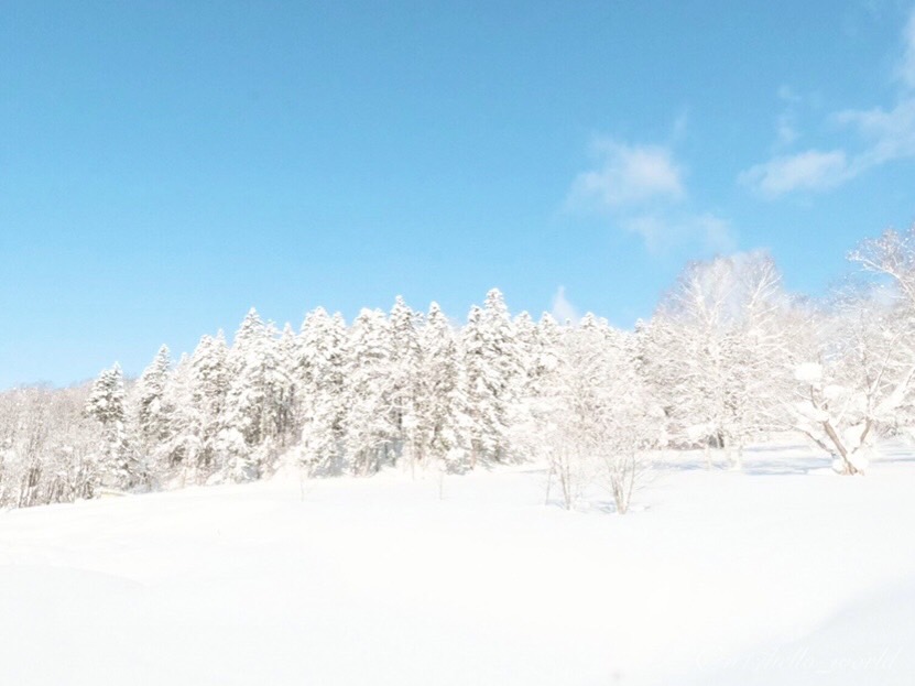 雪景色