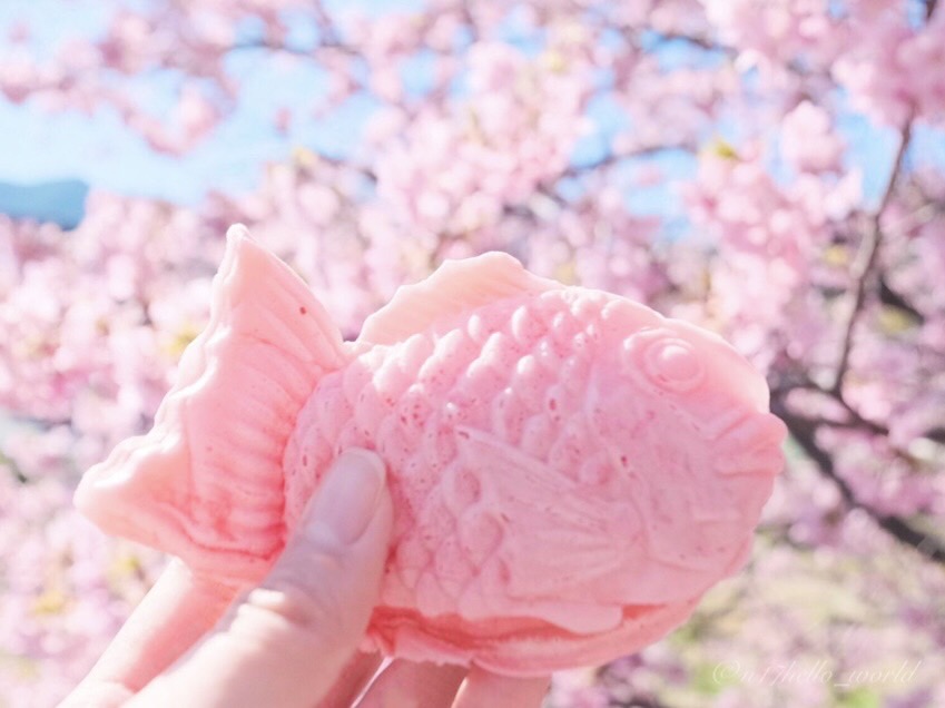 桜鯛焼きにいちご大福 河津町桜祭りでかわいいスイーツを買える場所 Pastel Travel