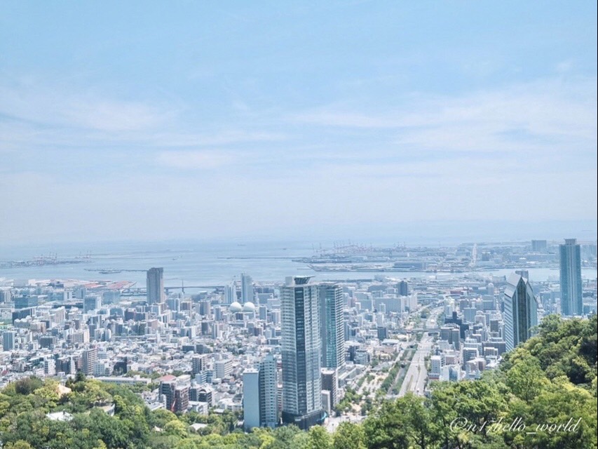 ロープウェイからの景色