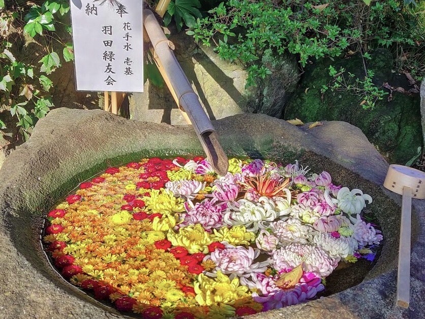 花手水