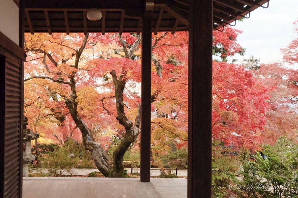 常寂光寺