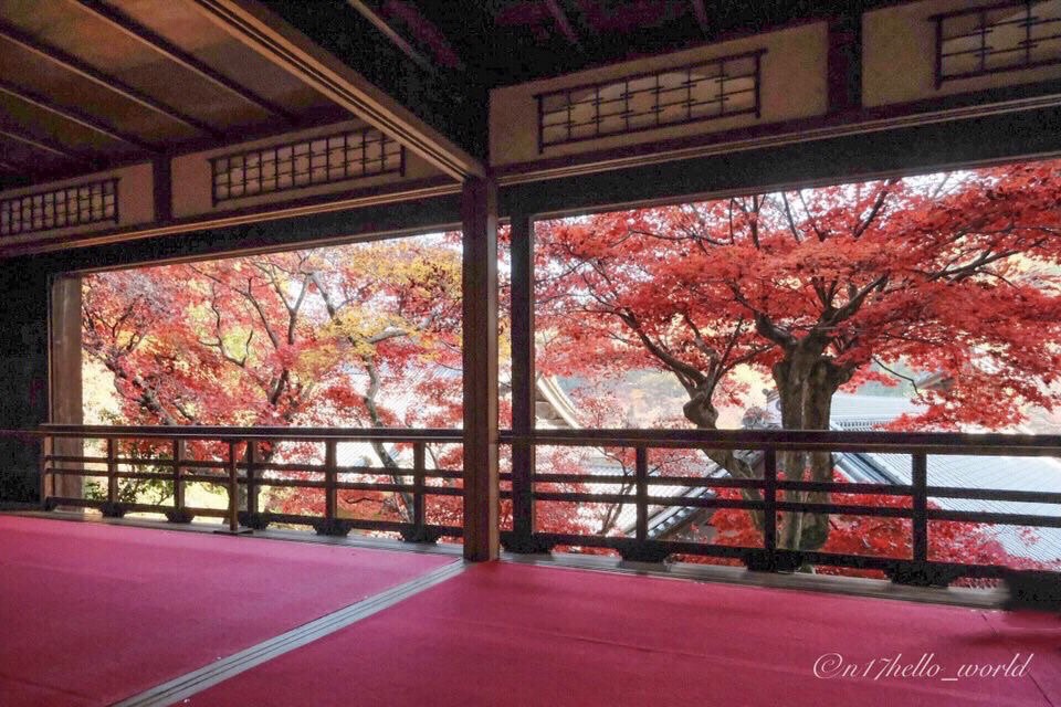  柳谷観音 楊谷寺 