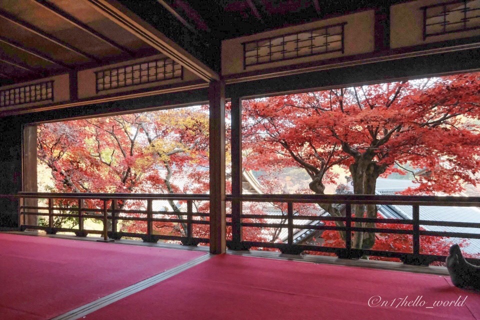 柳谷観音 楊谷寺