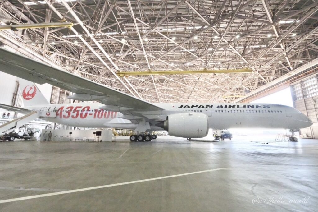 JAL A350-1000